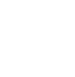 logo-v2